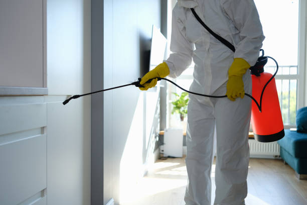 Best Residential Mold Removal  in Timmonsville, SC