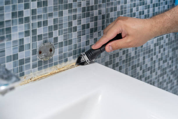 Home Mold Removal in Timmonsville, SC